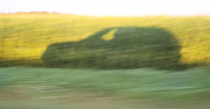 The shadow of a car cast across a golden cornfield at sunrise