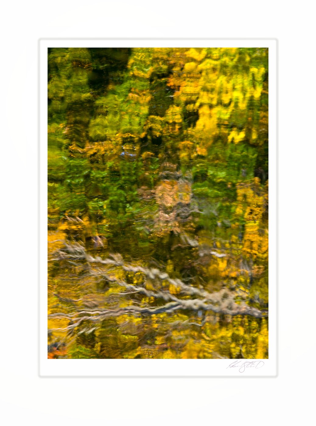 The rippled reflection of autumn foliage in gold, green, and rust across still water. Eaton Rapids, Michigan -2008