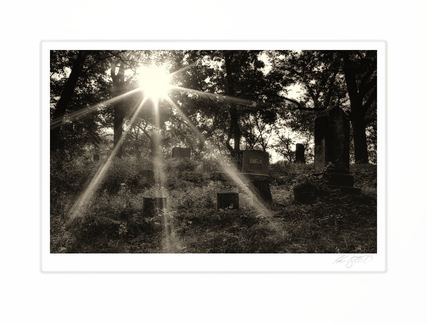 A sepia-toned cemetery with sunlight streaming through the trees at sunrise. Bay Port, Michigan -2017