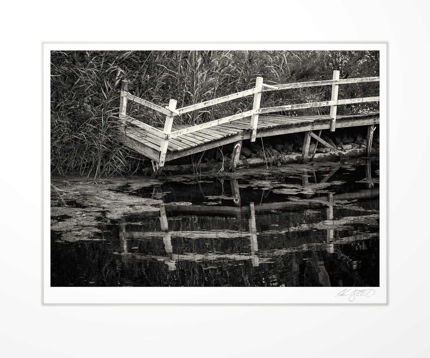 A broken dock post standing alone at Mud Creek near Bay Port, Michigan - 2023