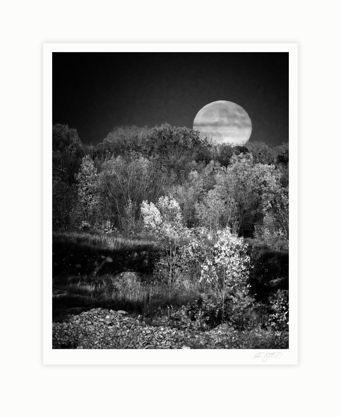 A full moon rising above a tree line seen from an old quarry, shot in black and white infrared. Bay Port, Michigan -September 2024