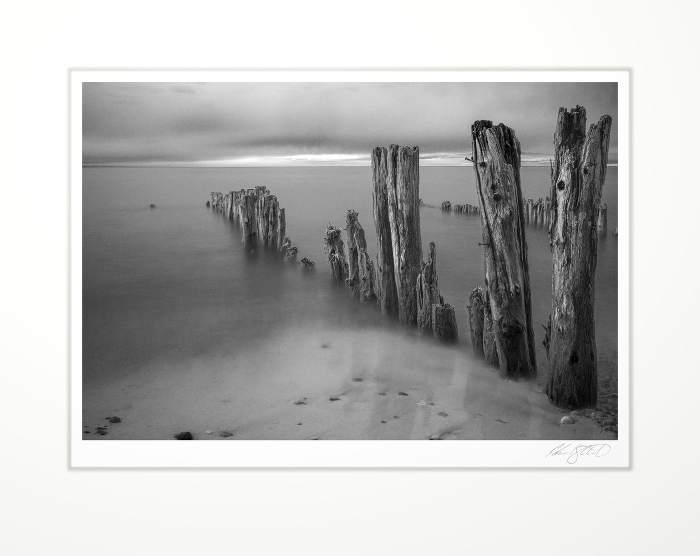 Weathered wooden pylons standing in the shore of Lake Huron at Sand Point, Michigan -2023