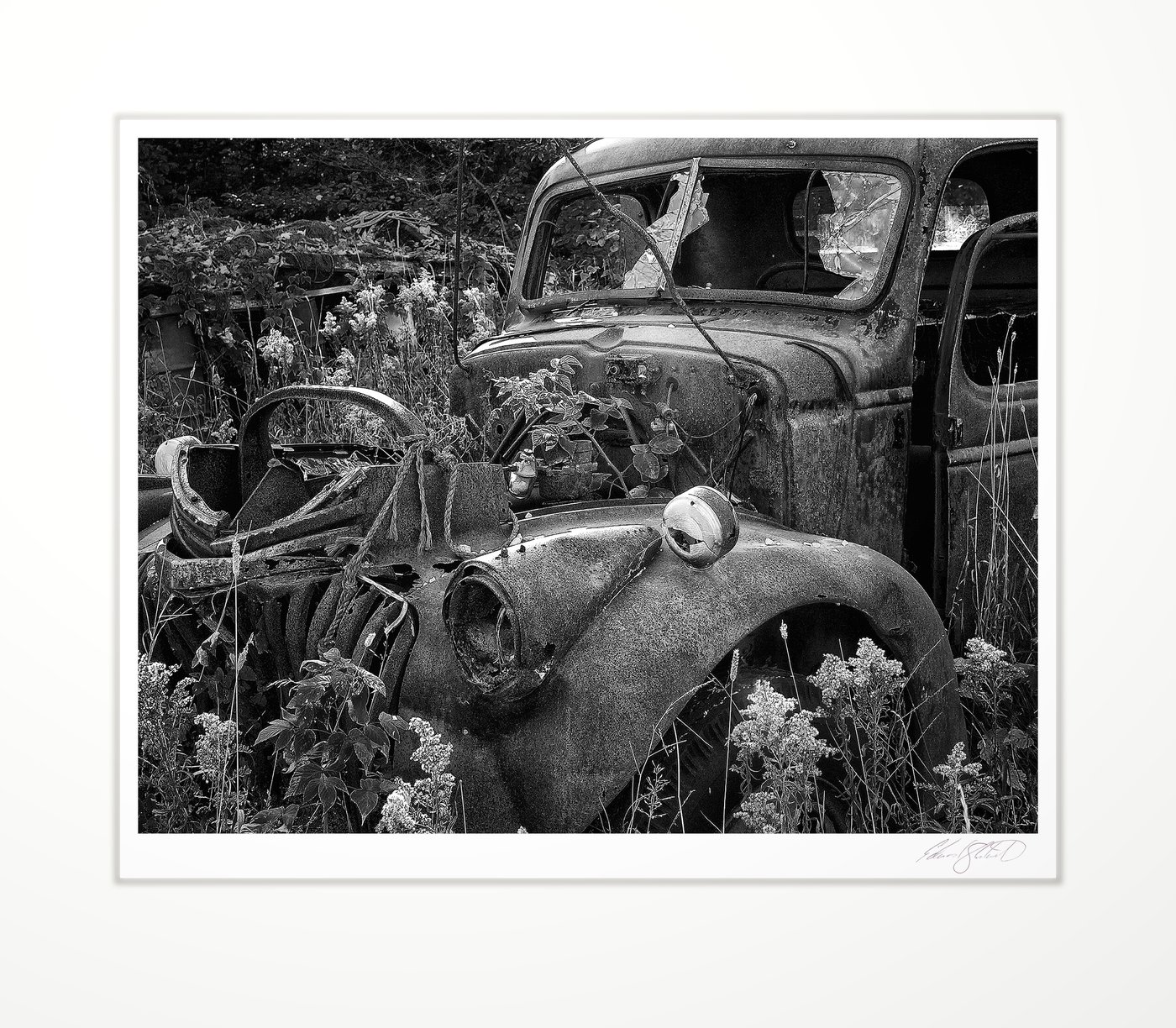 Abandoned truck overtaken by forest