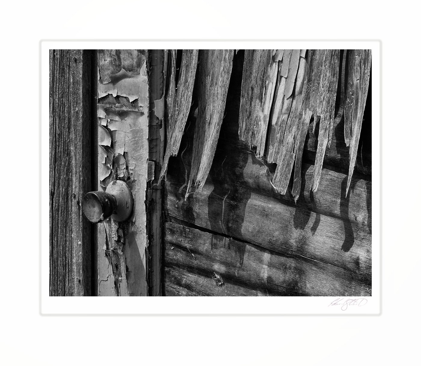 A weathered door with peeling paint and an old doorknob. Rose Island, Michigan -July 2022
