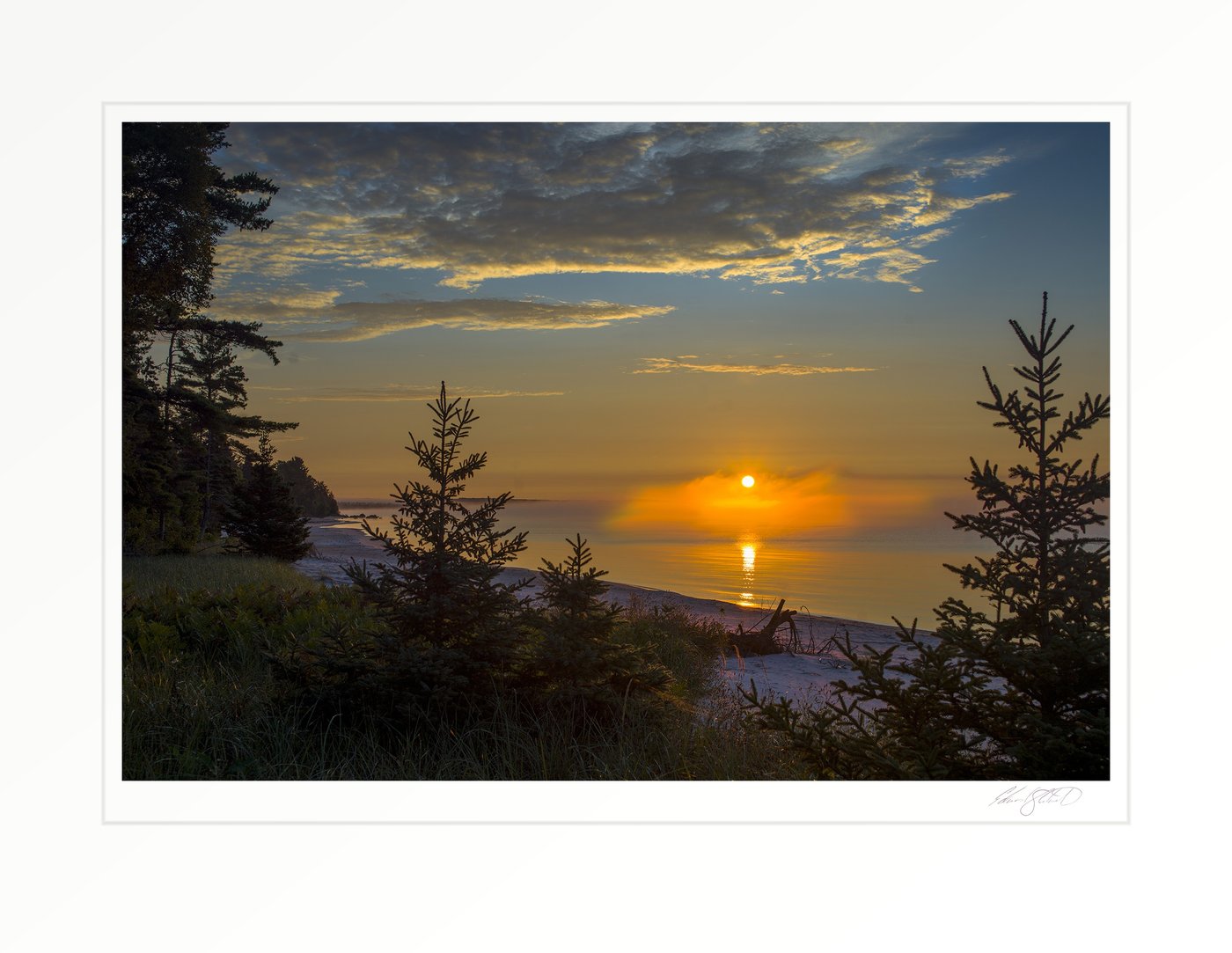 Sunrise over a foggy Lake Michigan shoreline, framed by pines and dune grass, with the sun's reflection stretching across calm water. Naubinway, Michigan -August, 2021