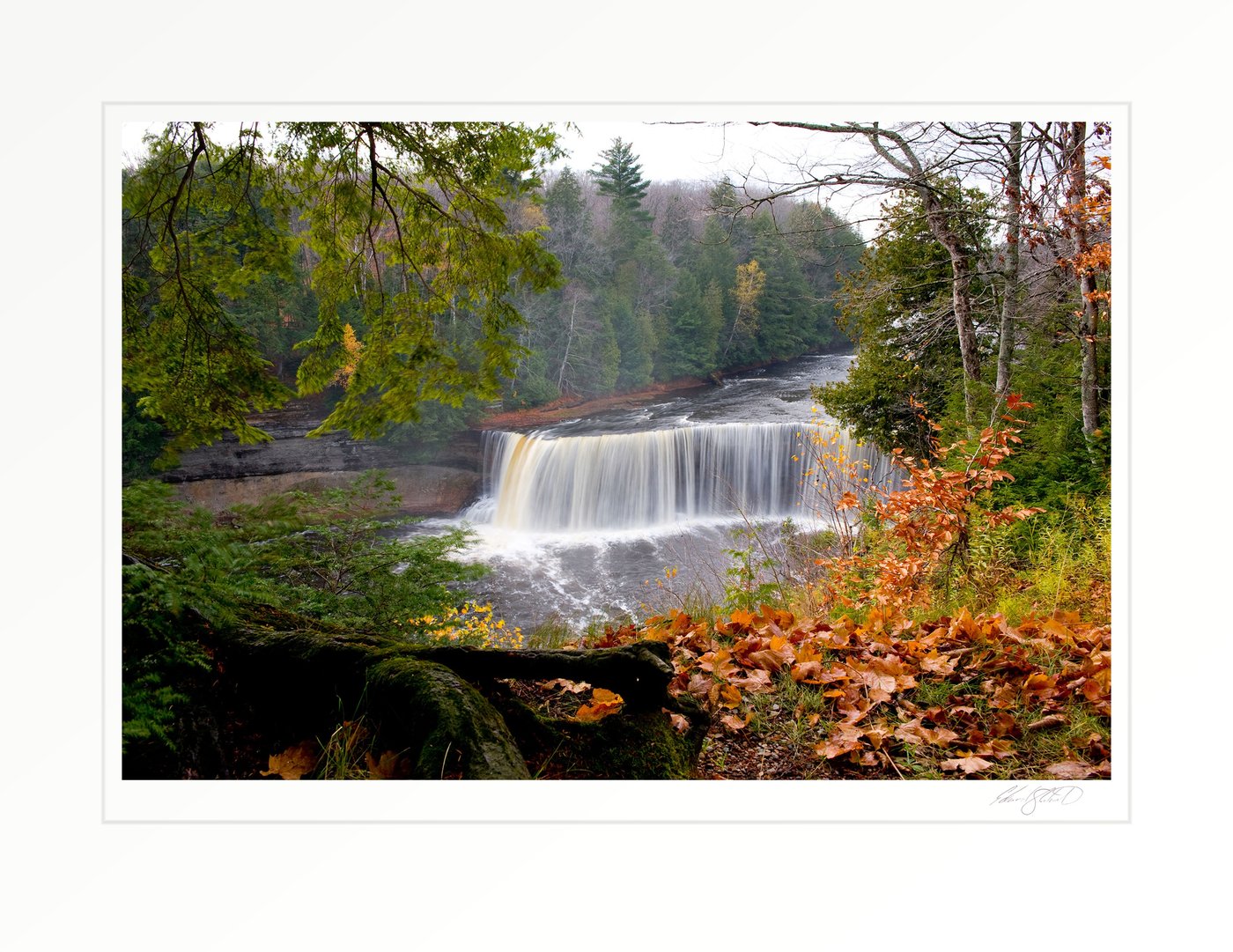 Tahquamenon Falls in full flow, framed by autumn foliage along the riverbank. Paradise, Michigan -October 2008