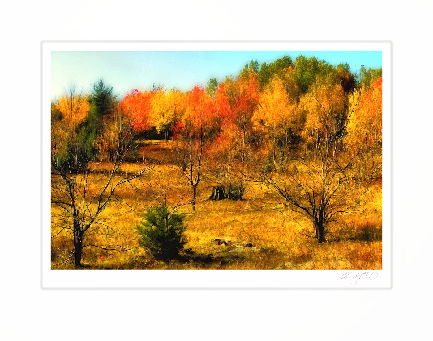 A painterly rendering in full autumn color at Garfield Twp. in Michigan's Upper Peninsula - 2012