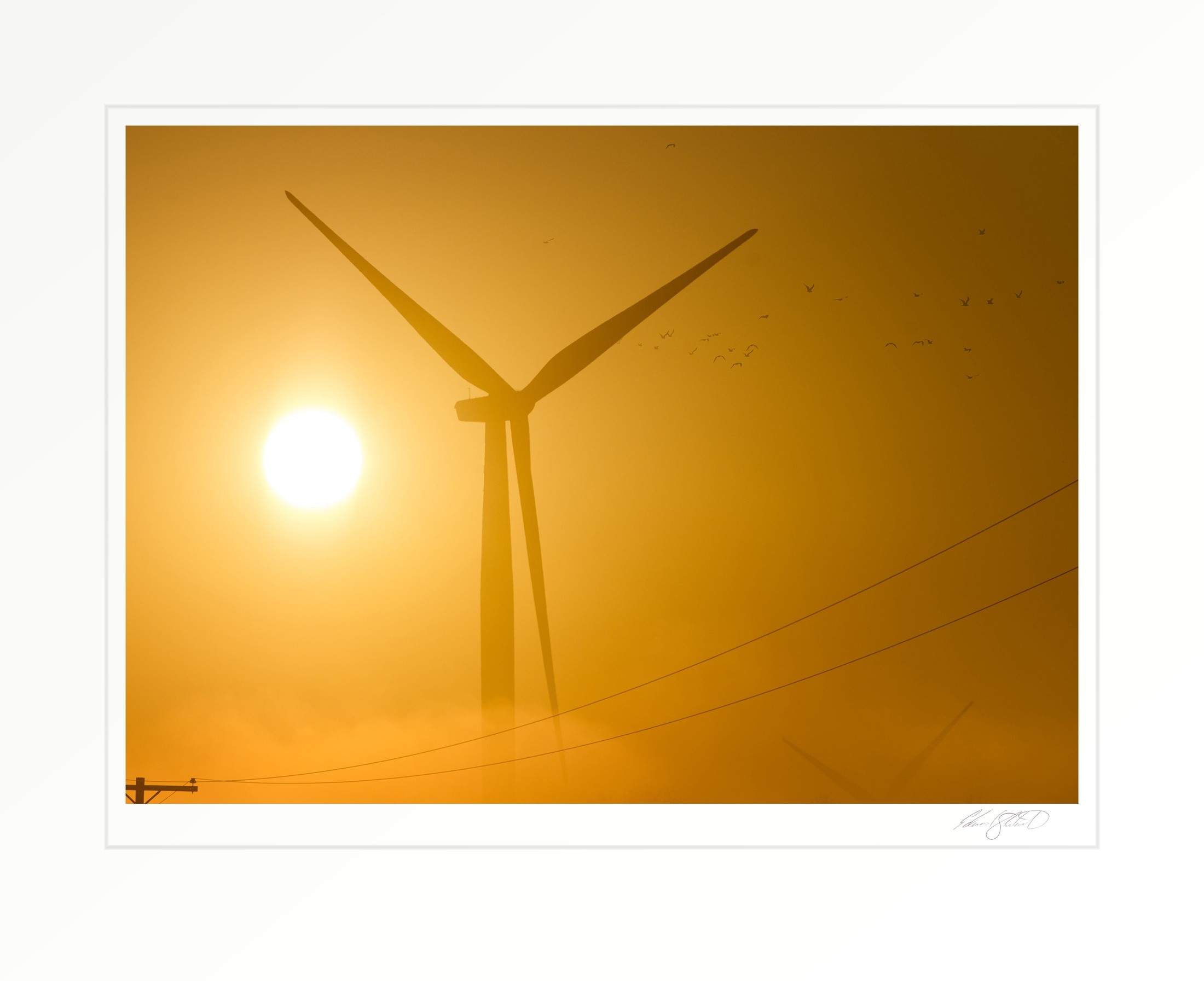 A wind turbine silhouetted against a golden, hazy sun, with a flock of birds passing by. Pigeon, Michigan - 2016