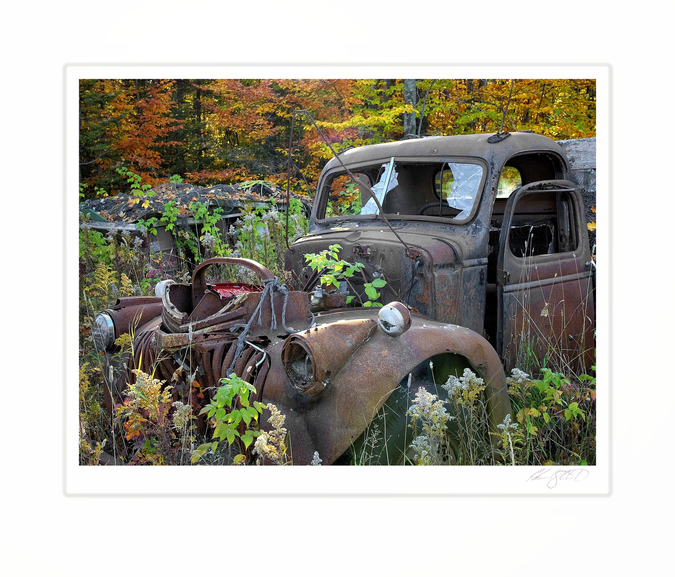 An abandoned rusty truck surrounded by autumn foliage. Brevort, Michigan -October 2008