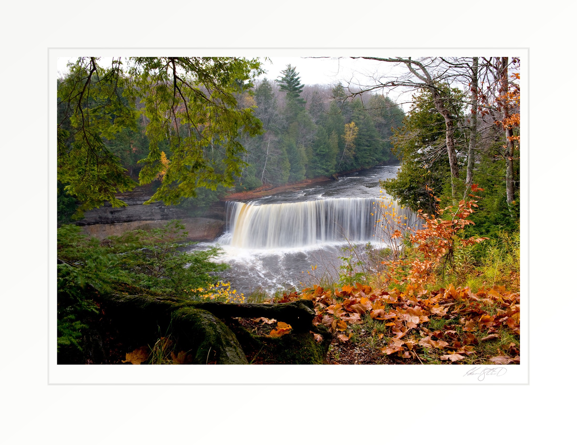 Tahquamenon Falls in full flow, framed by autumn foliage along the riverbank. Paradise, Michigan -October 2008