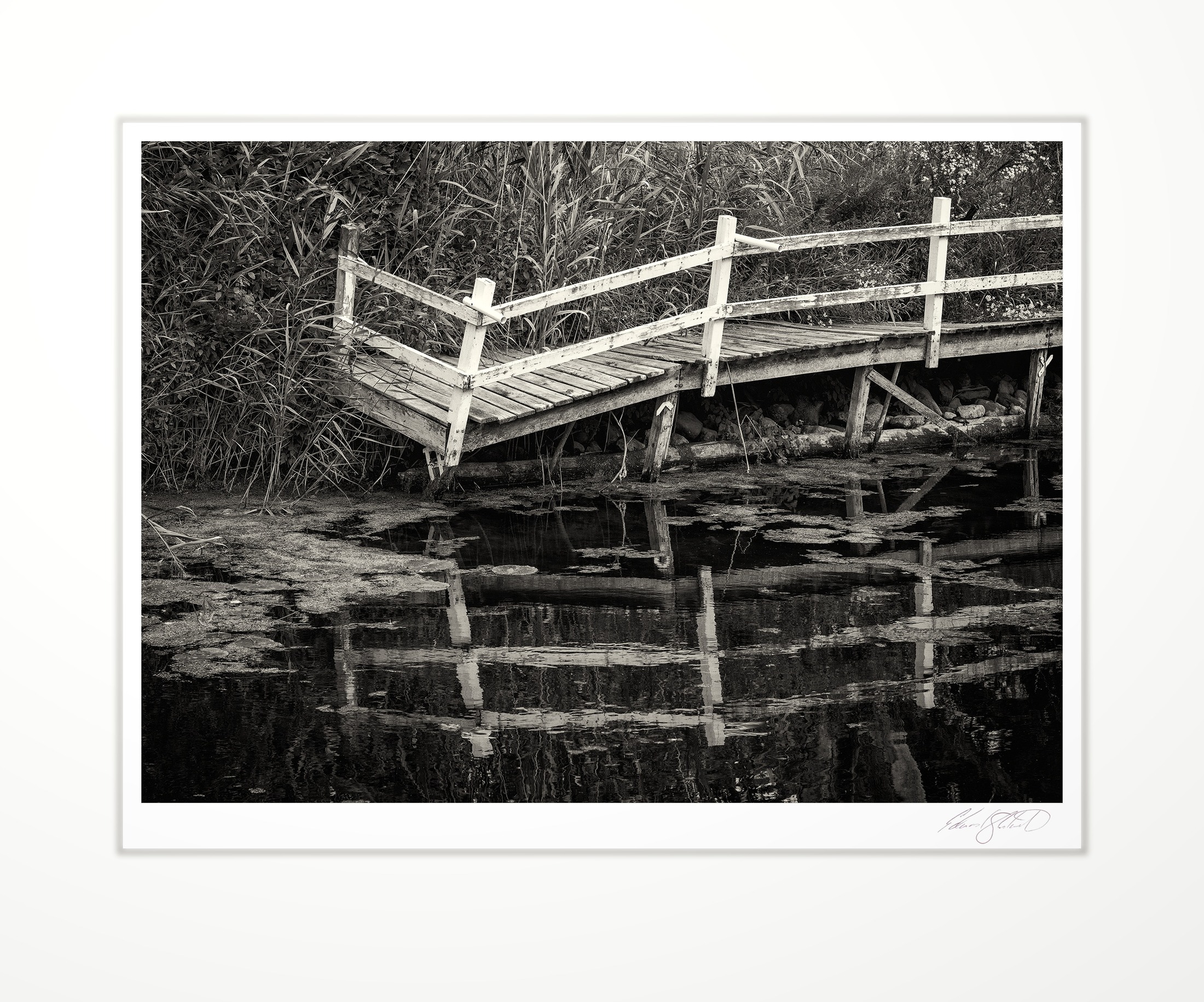 A broken dock post standing alone at Mud Creek near Bay Port, Michigan - 2023