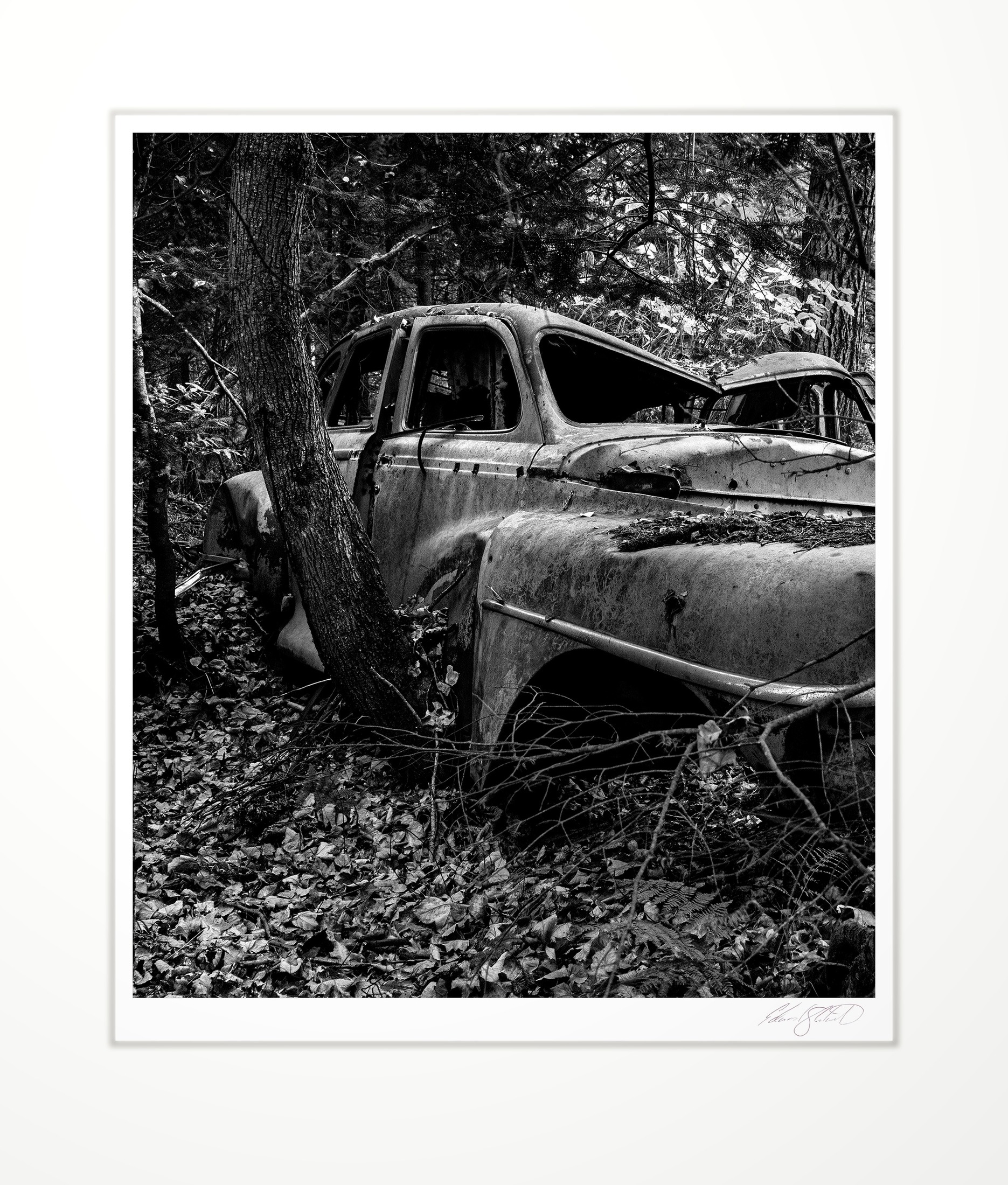 An old car slowly reclaimed by the forest. Hulbert, Michigan -2010