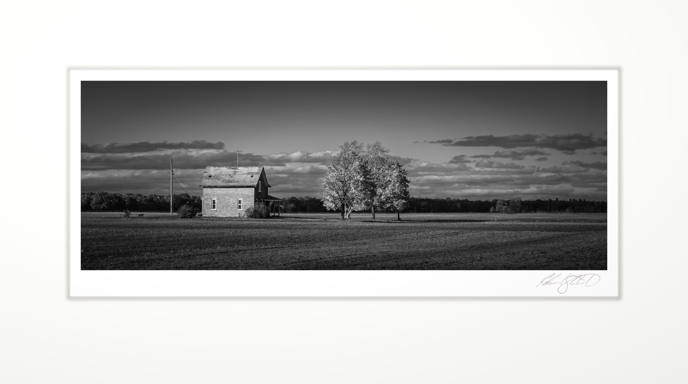 A farmhouse and trees in the evening light. Pigeon, Michigan -October, 2024