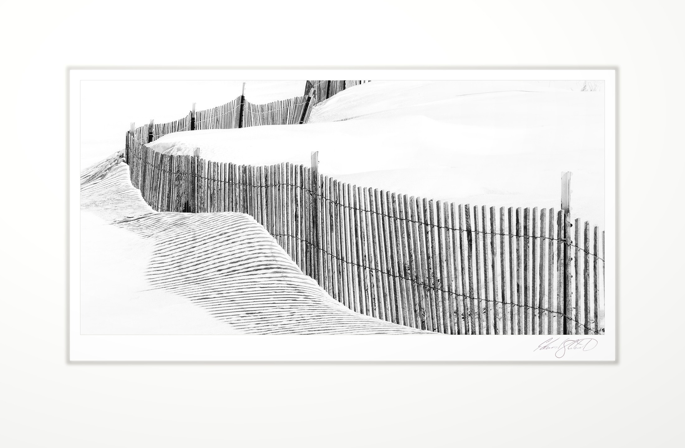 A snow fence winding through dunes of the Lake Huron shore. Caseville Township, Sand Point -March 2013