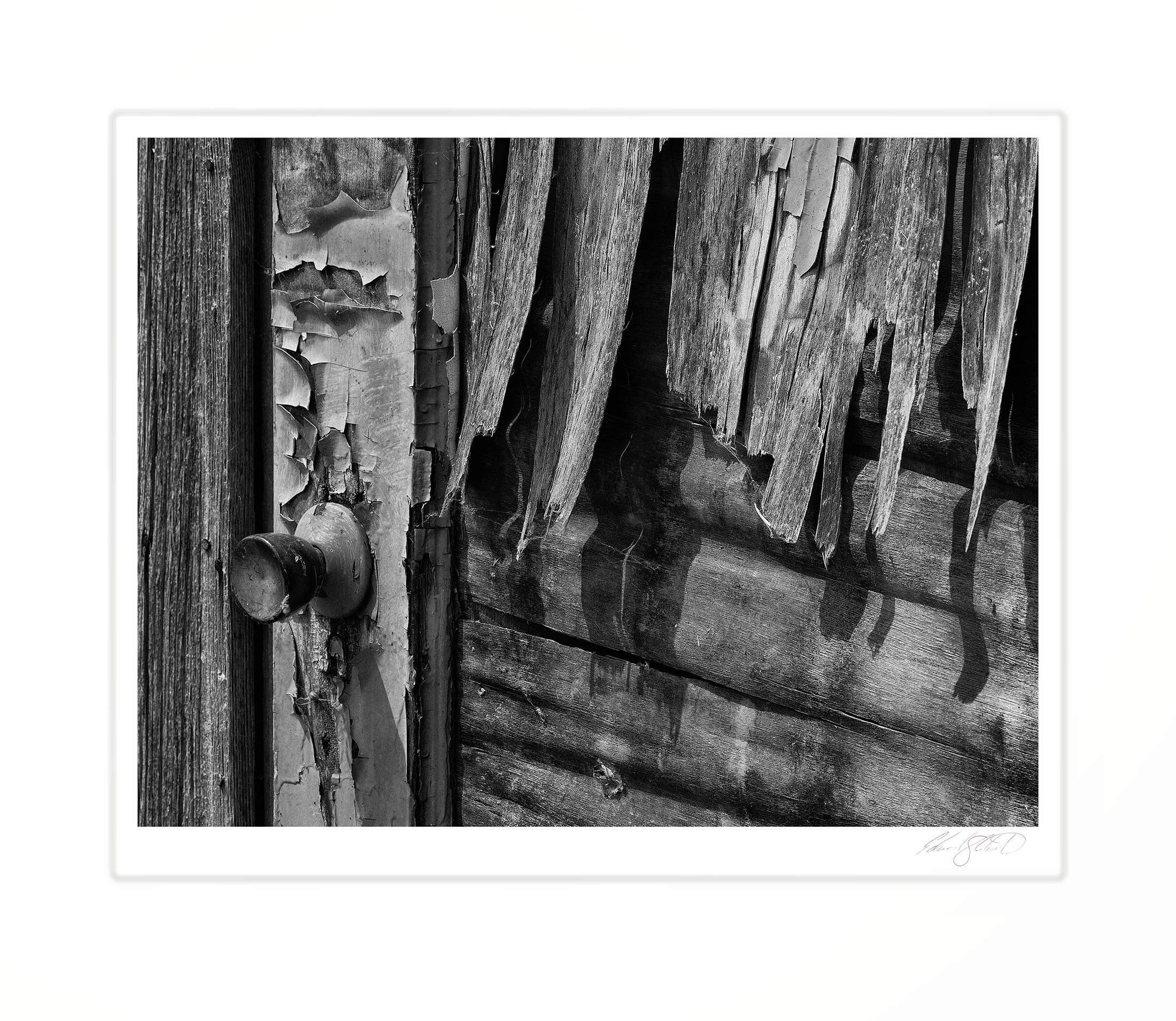 A weathered door with peeling paint and an old doorknob. Rose Island, Michigan -July 2022