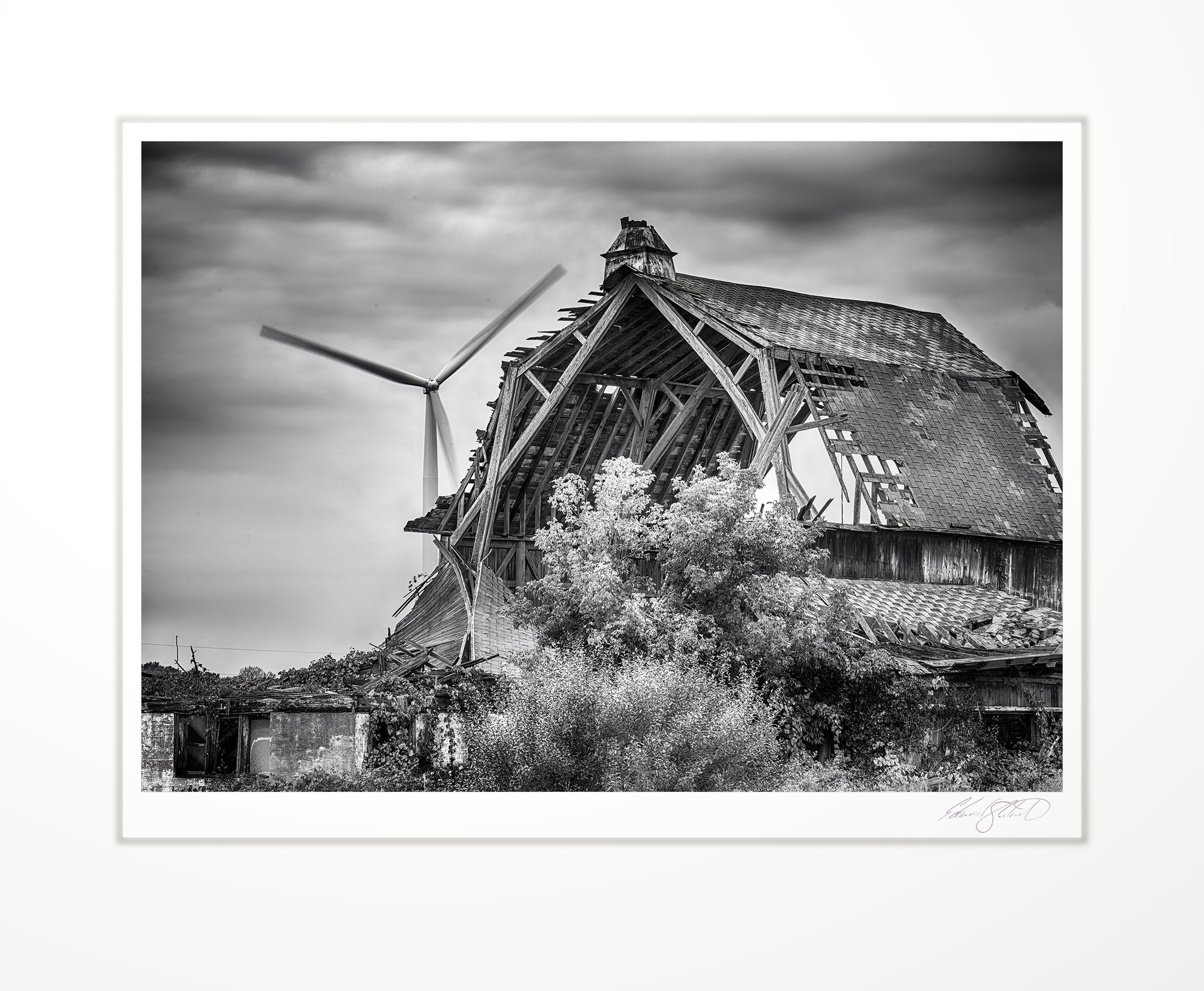 A collapsing barn with a wind turbine turning behind it. Caseville, Micigan area -October 2018