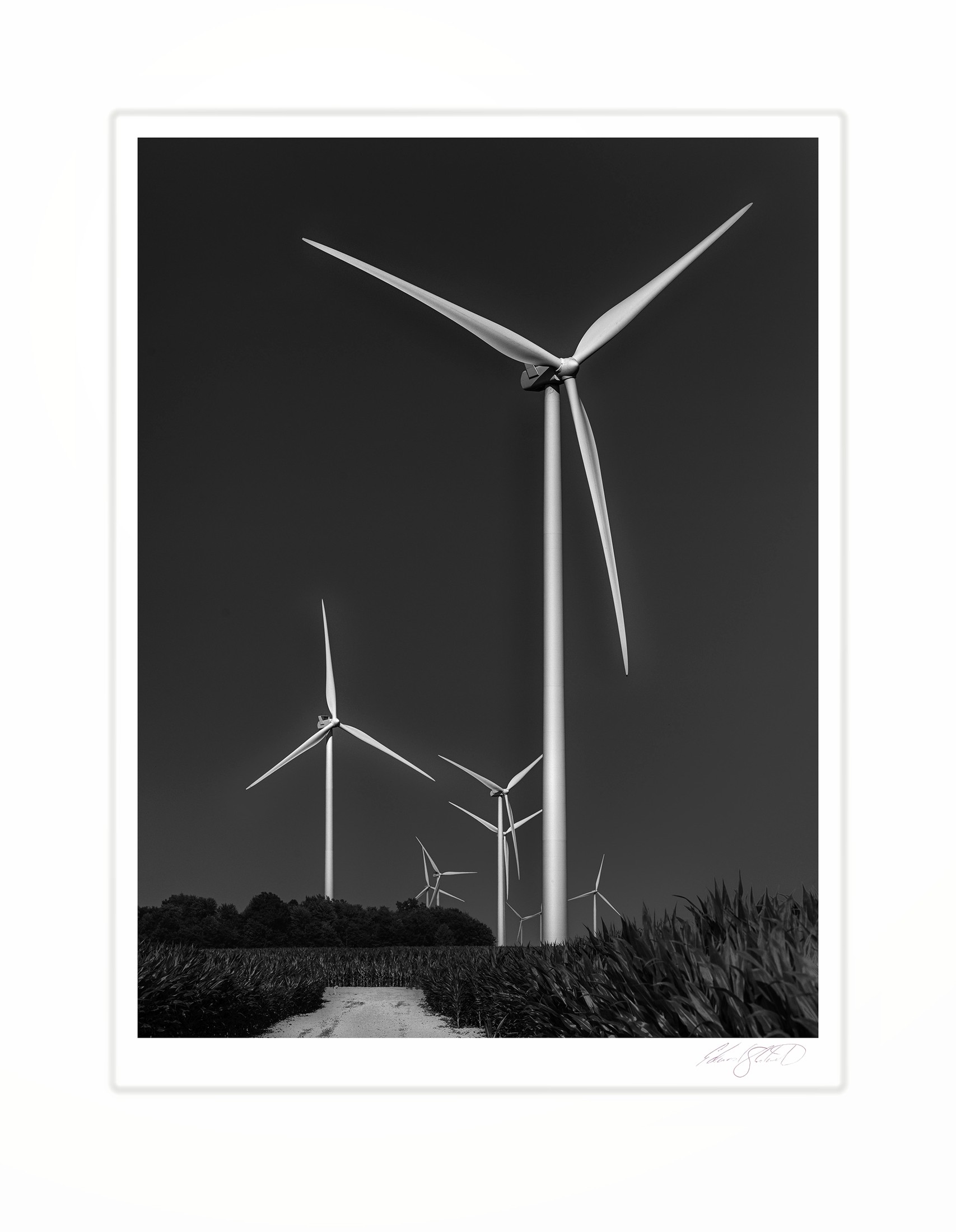 Wind turbines rising against a dark sky over a cornfield. Maxwell Road near Pigeon, Michigan -July 2026