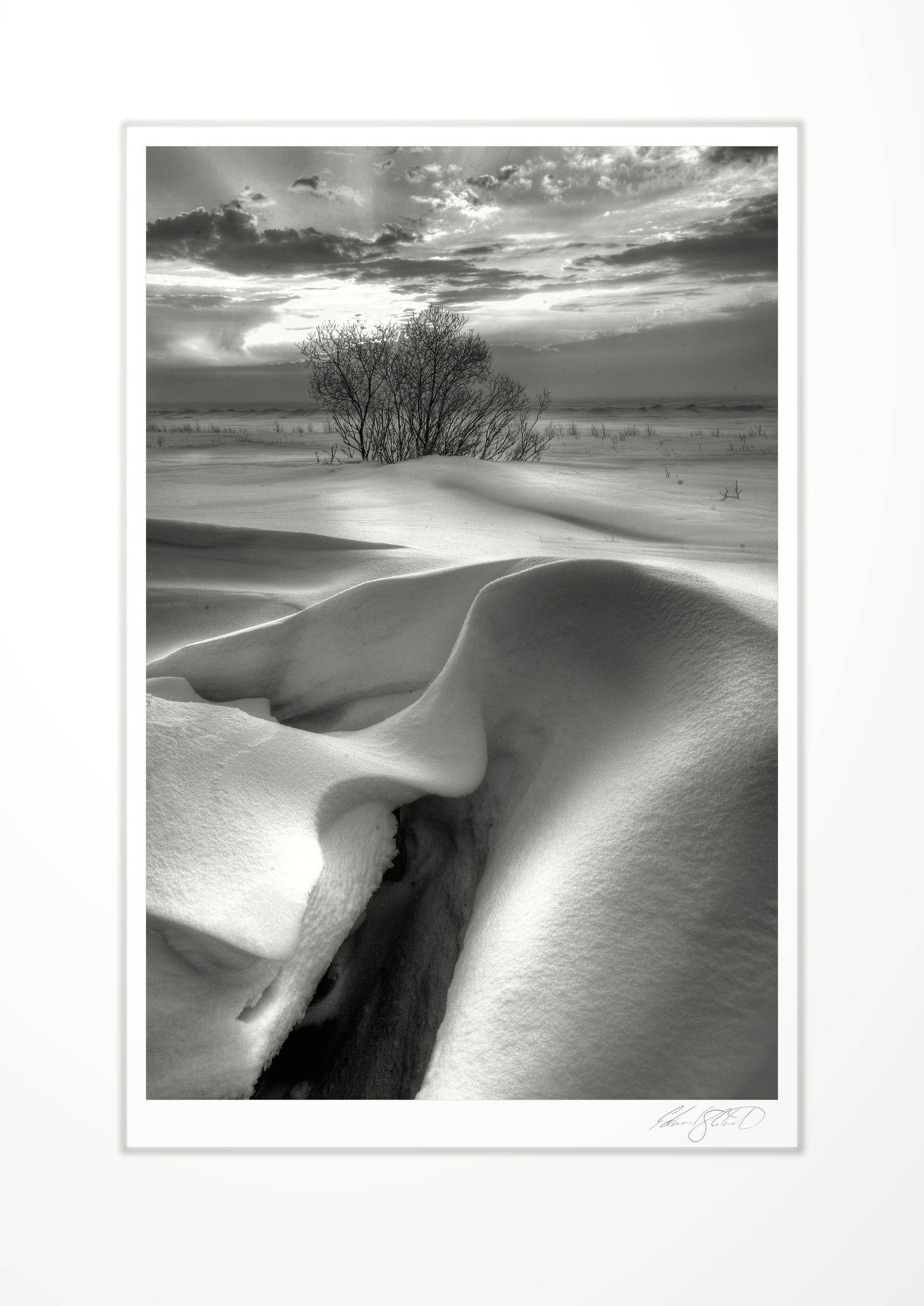 Snow dunes catching the light at winter sunrise over frozen Lake Michigan. Naubinway, Michigan -March 2008
